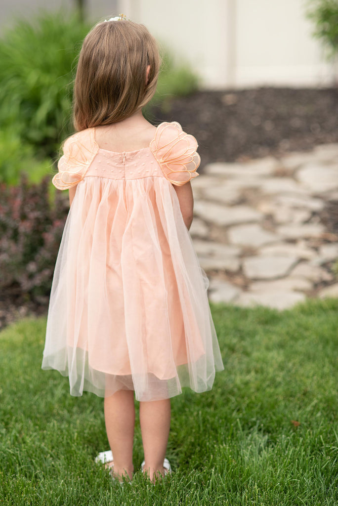 Peach Sheer Dress